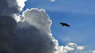 PAVLOV S DOG - episode