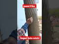 Round Pillar Design 2023 Shorts Youtube Viral Trending Ytshorts Bagabutamistri