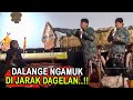 Percil Yudho Petuk Dalang Stress Ngejak Gelut
