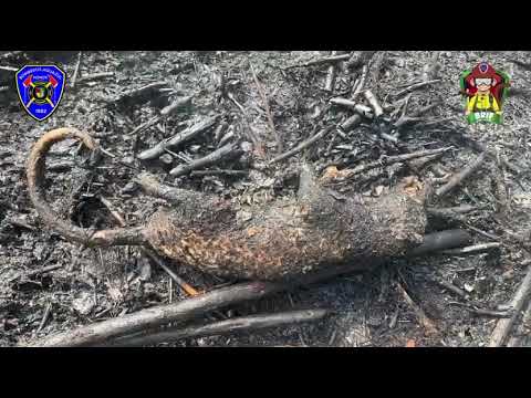 👨🏻‍🚒 ¡Aguazul, Casanare  ya cuenta con Bomberos Forestales Certificados! 🔥