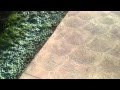 Sidewalk Song By Latch Key Kid