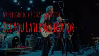 Dr Feelgood - See You Later Alligator (Live at Tavastia 2022)