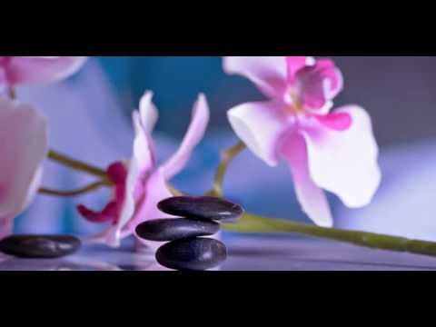 download lagu mp3 mp4 Karma Collection Relaxation II, download mp3 Karma Collection Relaxation II free download, download mp3 Karma Collection Relaxation II