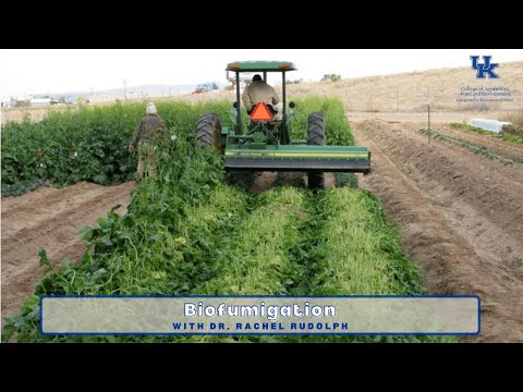 Biofumigation