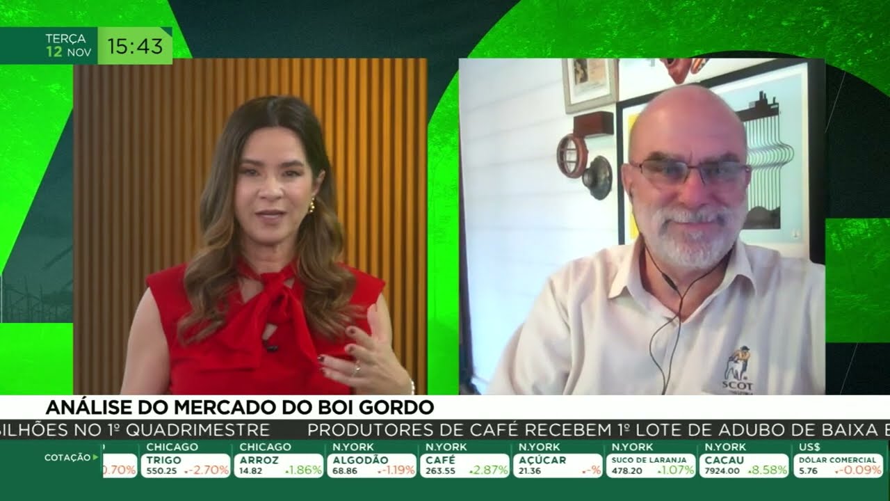 Análise do mercado do boi gordo