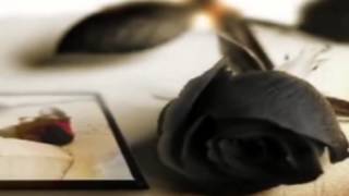 Adamo- Es geht eine Träne auf Reisen