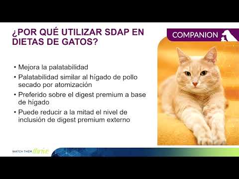 APC - Dr. Javier Polo - CLANA 2022: ¿Por qué utilizar plasma en dietas de gatos?