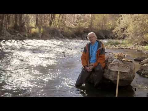 Clean Water Has Bugs In It - Stoneflies and Water Quality