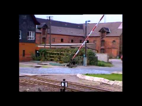 Viva Magistrale II - Plandampf der Extraklasse