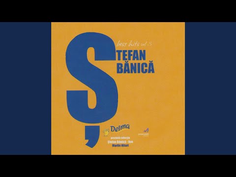 Ștefan Bănică Jr. - "Ziua"