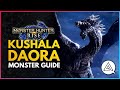 Monster Hunter Rise | Kushala Daora Quick Start Monster Guide & Tips