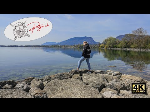 Diving in Switzerland - Serrieres Lake Neuchâtel 4k Switzerland