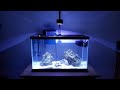 Best Filter For 10 Gallon Saltwater Aquarium