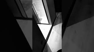 Şehinşah - Pirana (İnstagram Story)