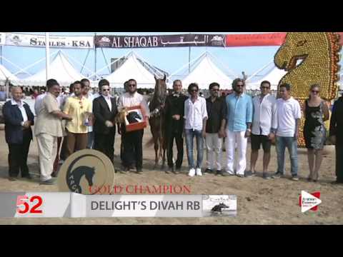 Highlights Menton 2015