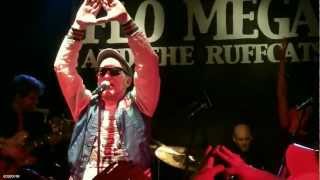 FLO MEGA & THE RUFFCATS - 071211 - Festsaal Xberg Berlin