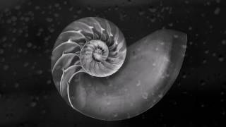 "Three Worlds" - Max Richter  (Music From Woolf Works, Mrs Dalloway, In The Garden)