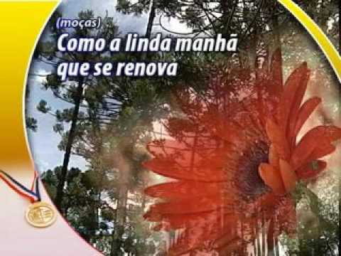 Vem Brilhar video