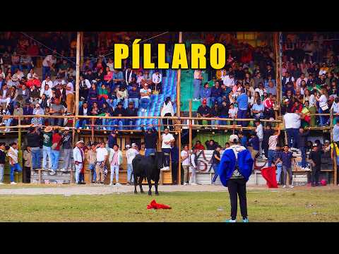 TOROS POPULARES PILLARO 2026 | ¡La Fiesta Tradicional Más Grande De ECUADOR! 🇪🇨
