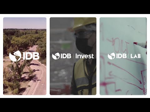 Introducing the IDB