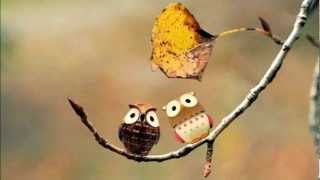 No Love [Little Dragon]