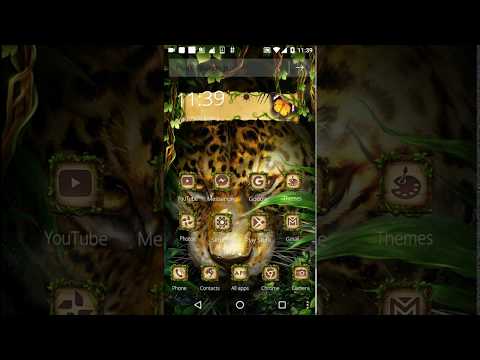 Leopard in Woodlands Theme Video