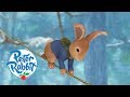 Peter Rabbit Saving Cottontail Cartoons For Kids