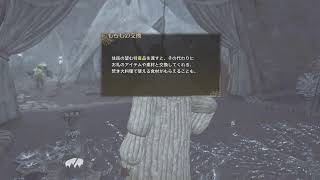 [モンスターハンターワイルズ]＃4　さあ、一狩り行こうぜ！[ネタバレ注意][PS5]