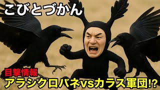 公園で目撃情報⁉︎ アラシクロバネvsカラス軍団 【こびとづかん】
