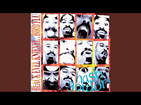 BLACK EVEL KNIEVEL/BIRD FLU