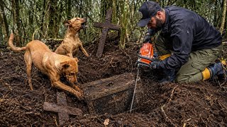 CACHORROS DESCOBREM UM TESOURO ASSOMBRADO
