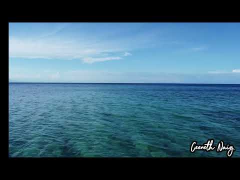 El'Lemar Beach Resort ⛱️ 😎  #whitesand #nocopyrightinfringementintended