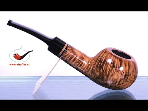 Butz Choquin Dr. Boston Camaro