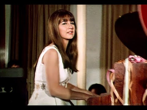 The Seekers (rare) - Fly Away: Pacesetter dream ad