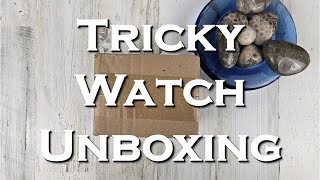This Watch Fooled Me - Skeleton Watch Unboxing - Wishdoit Watches