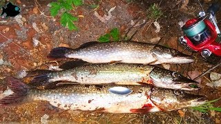 Блесна крокодил на щуку