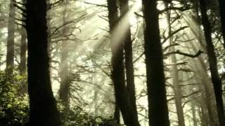 Samael - Last Benediction (Bosques Oscuros)