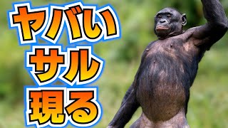 Attach YouTube