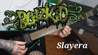 Blitzkid - Slayera (Guitar Cover)