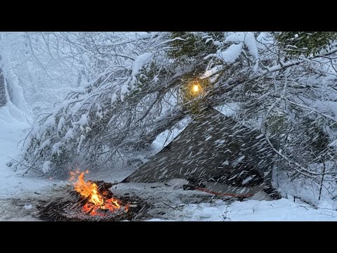 Lost in wilderness- How to NOT Freeze to Death!Winter Survival Camping & Bushcraft (No Tent orBag)