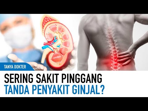 , title : 'Benarkah Sering Sakit Pinggang Tanda Penyakit Ginjal? | Kata Dokter'