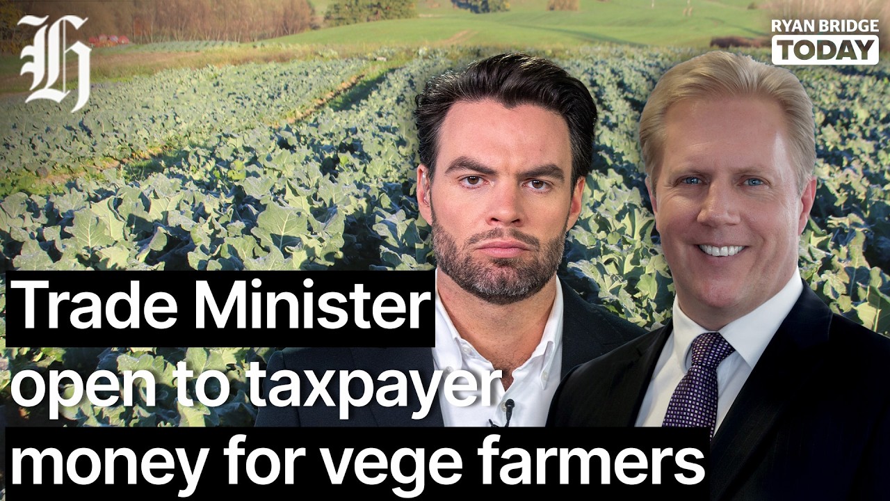 Taking early advice: Trade Minister open to taxpayer money for vege farmers | Ryan Bridge TODAY