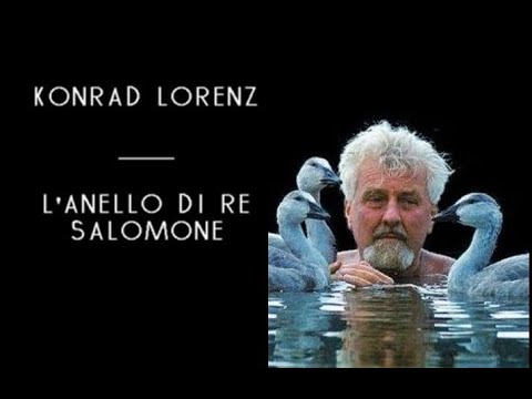 Konrad Lorenz - L'Anello di Re Salomone (solo audio)