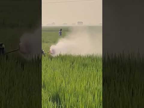 3 Nozzle Boom Spray Gun |  3 నాజిల్ బూమ్ స్ప్రే Taiwan Sprayer WoW 😲 Performance 📲 9886747007