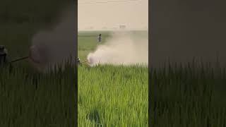 Download lagu 3 Nozzle Boom Spray Gun | 3 నాజిల్ బూమ్ స్ప్రే Taiwan Sprayer WoW 😲 Performance 📲 9886747007 mp3 Download lagu 3 Nozzle Boom Spray Gun | 3 నాజిల్ బూమ్ స్ప్రే Taiwan Sprayer WoW 😲 Performance 📲 9886747007 mp3