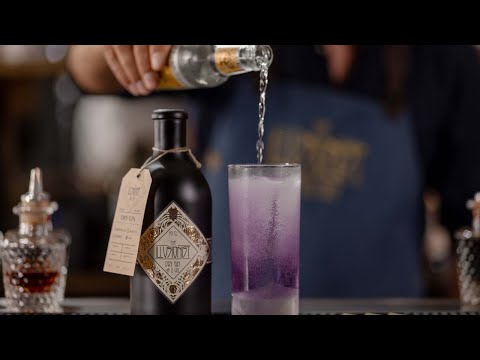 Crafting the Perfect Twist: The Gin & Tonic Reimagined