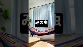 ハンモックで暇潰しをするあずき