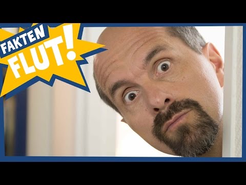 48 Fakten zu Stromberg | Faktenflut