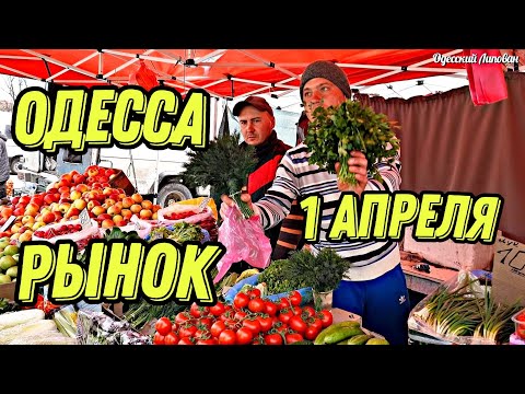 , title : 'Одесса/ ОБЗОР ВЕСЕННИХ ЦЕН/ Рыба/ Мясо/ Овощи/ не Привоз/ Липован'