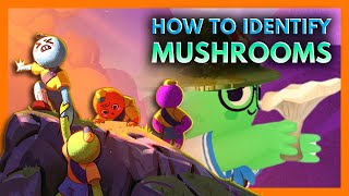 PEAK - How to Identify Safe Mushrooms